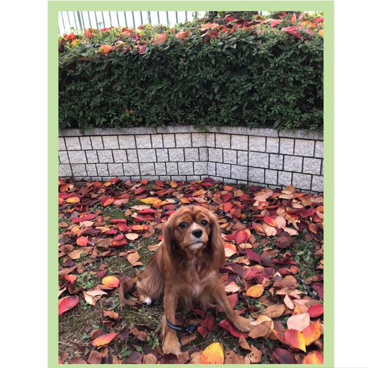 0c857f3b 6d4f 4f1c 9bb5 1e9a1e211be3 1574555886125