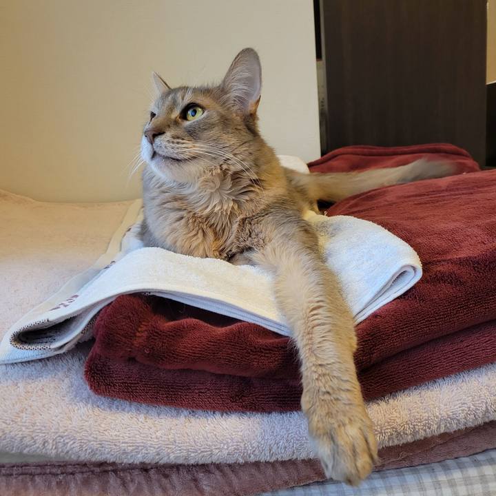 0c858ee7 246f 4eb9 adc7 a444f365d1cd 1643193280634