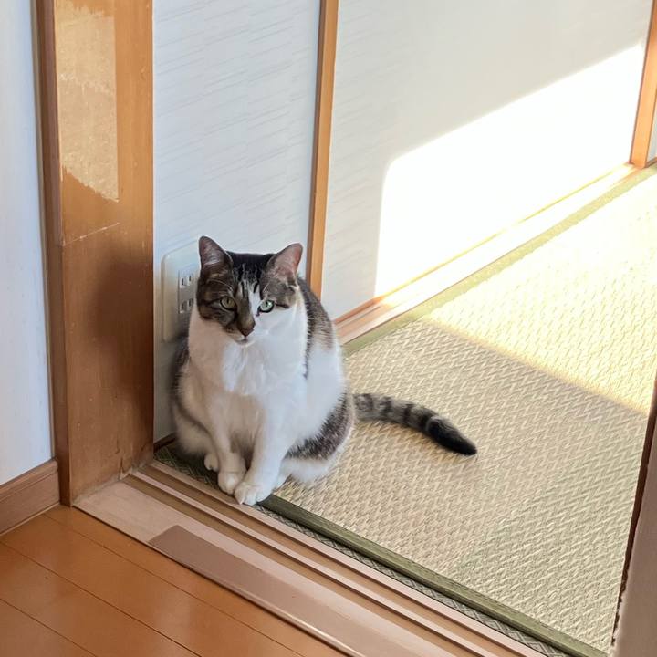 0c85af83 1cb5 46f2 8dbb f021838a1d20 1764119307753