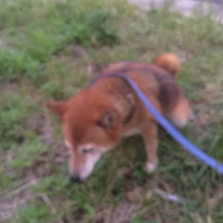 0c85c3d0 8caa 4df5 9f91 c446e64606d9 1571215759896