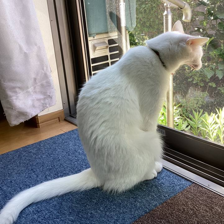 0c85c954 8ead 4cc8 8f16 e154734ae4ea 1653779474719