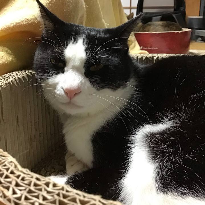 0c85ec47 30a8 4448 ab00 81e149f36cbe 1703667645403