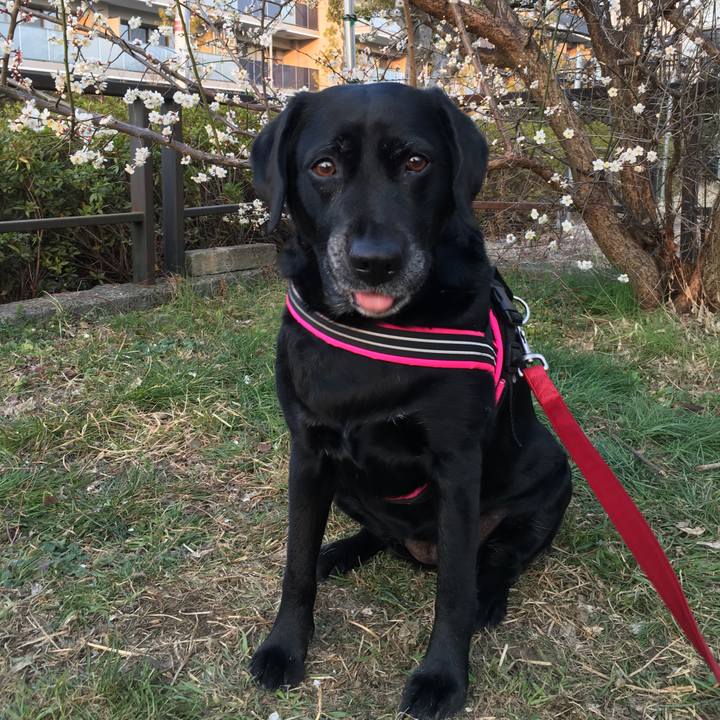 0c869ab0 668d 4ef0 8091 748a45128b0a 1519460363771