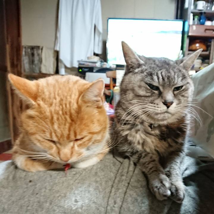 0c86b4e4 6014 4e0d 846d 519cf8210ec8 1576355194163