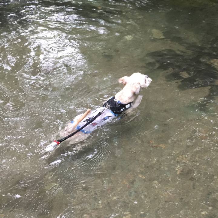 0c86efe5 d575 4361 974d 3328914fbf60 1534056150275