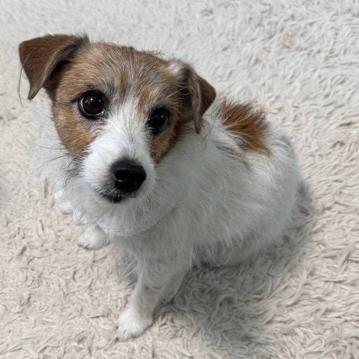 0c8712a9 6be4 4144 8213 12e1e9352980 1736596955879