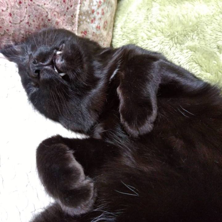 0c8725fd 596e 4d1a aaf2 5ce422d45e02 1639190751447