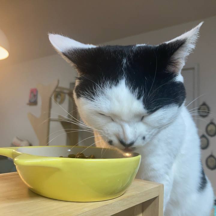 0c872e96 3168 4503 8e1f e52a3e149be4 1767907485844