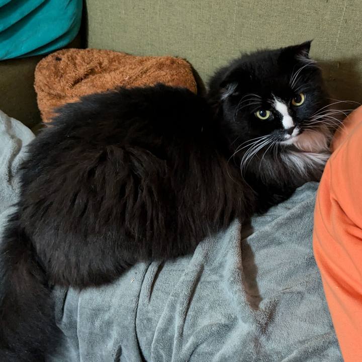 0c8753f2 95a7 482b 84c6 0d267d364a70 1722458311797