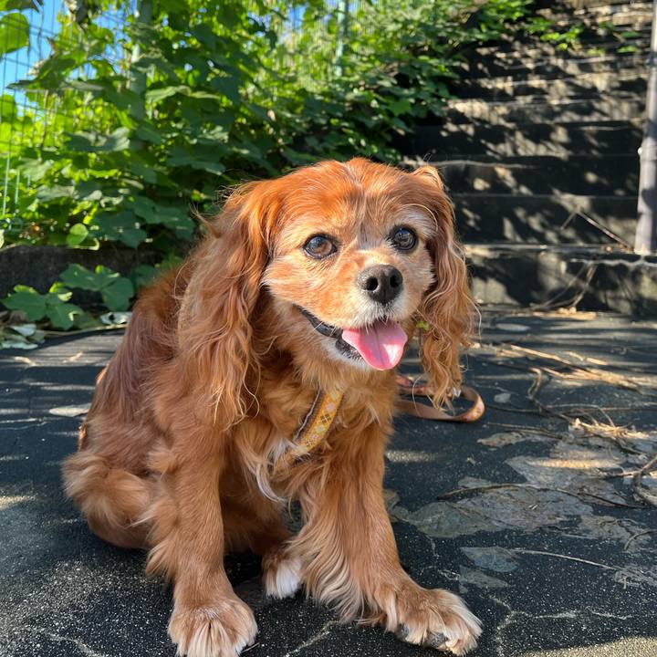 0c87b0f3 4ac7 4ab7 80be 09f8560a063d 1760483418563