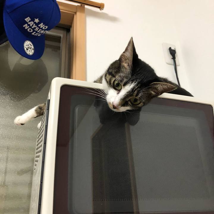 0c87b649 3a66 4070 9e0a 3e2eee6f4b2d 1532201853587