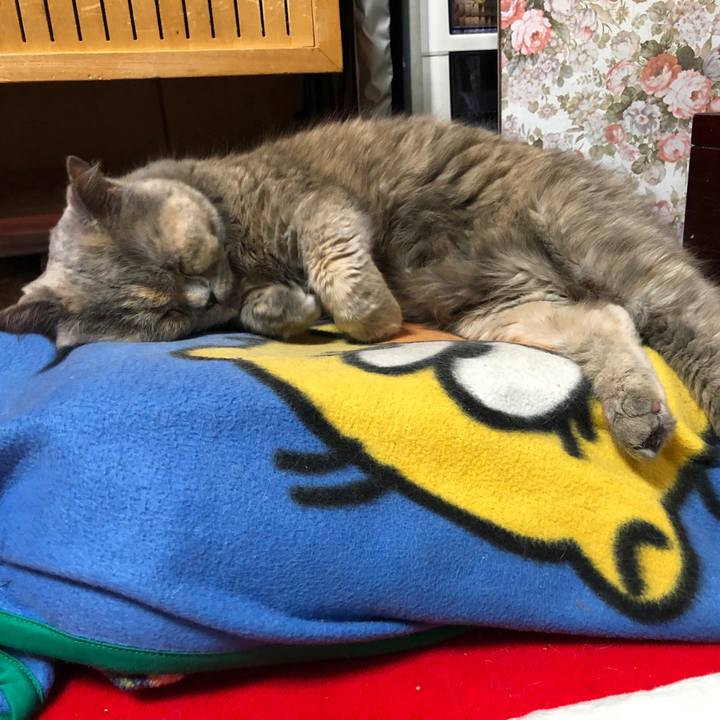 0c87c09b abba 4eb1 ab6a 80eaef0bf559 1774202043527