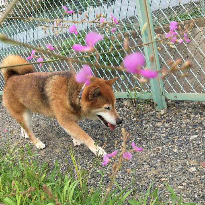 0c87e241 6bb7 4c15 a23e 7de7aedbef0a 1599703209330