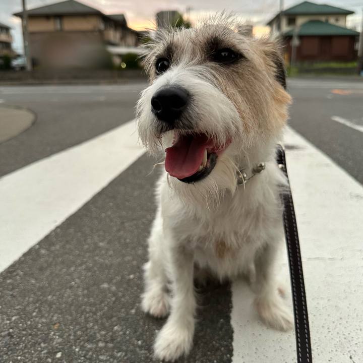 0c883831 12a9 477c 8ec3 a1eec1014093 1723015336562