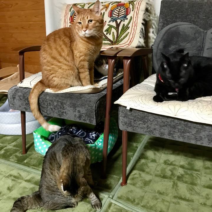 0c883f2e 7fd4 4bdf bb4e d7dbbefb724c 1524576451621