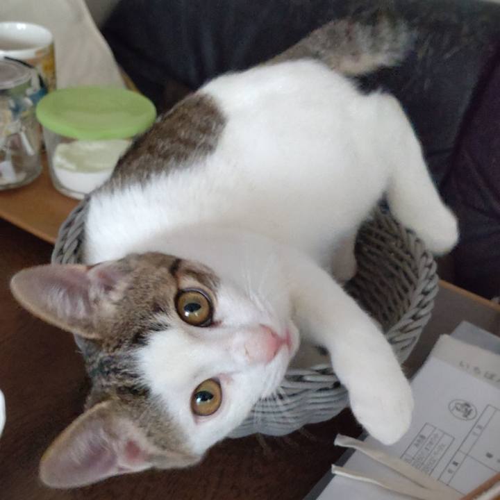 0c8868fa 6957 443b a825 f2e42c5c9577 1641294158239