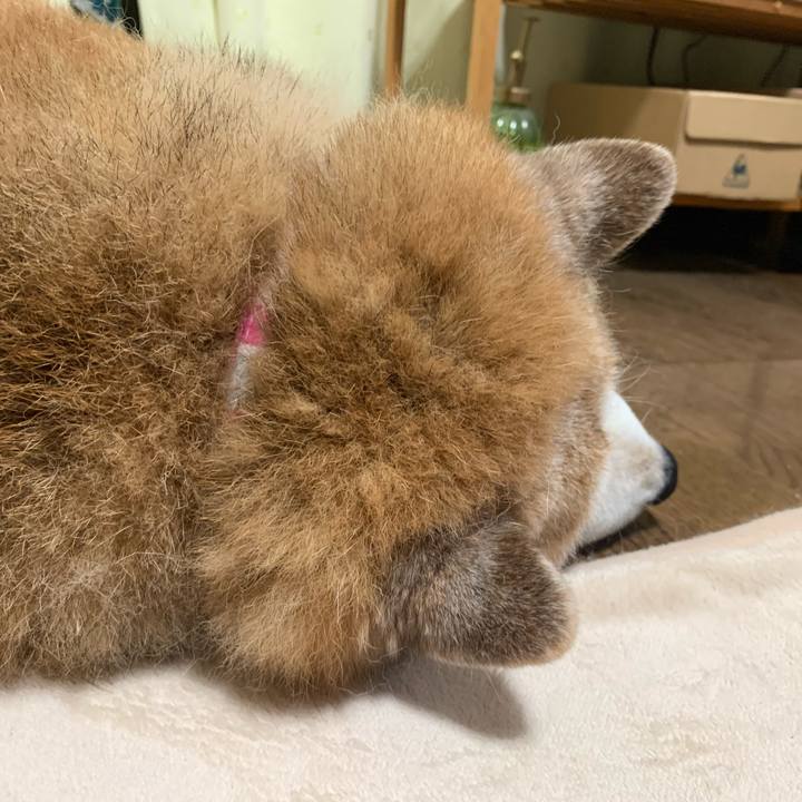 0c888131 f999 4b24 8387 f79330d123a1 1620727783874