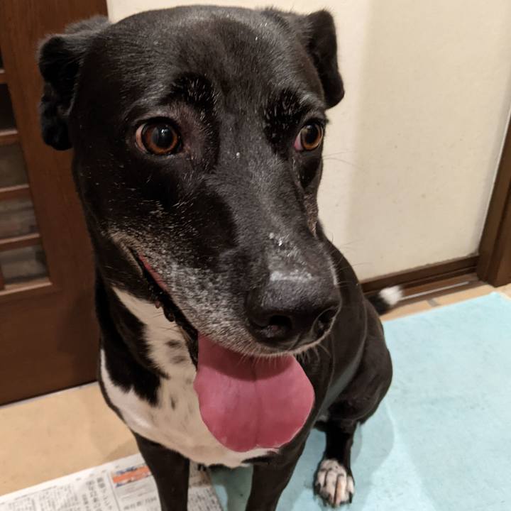 0c888699 df6d 4577 86e8 8e319d2feb90 1694255849023