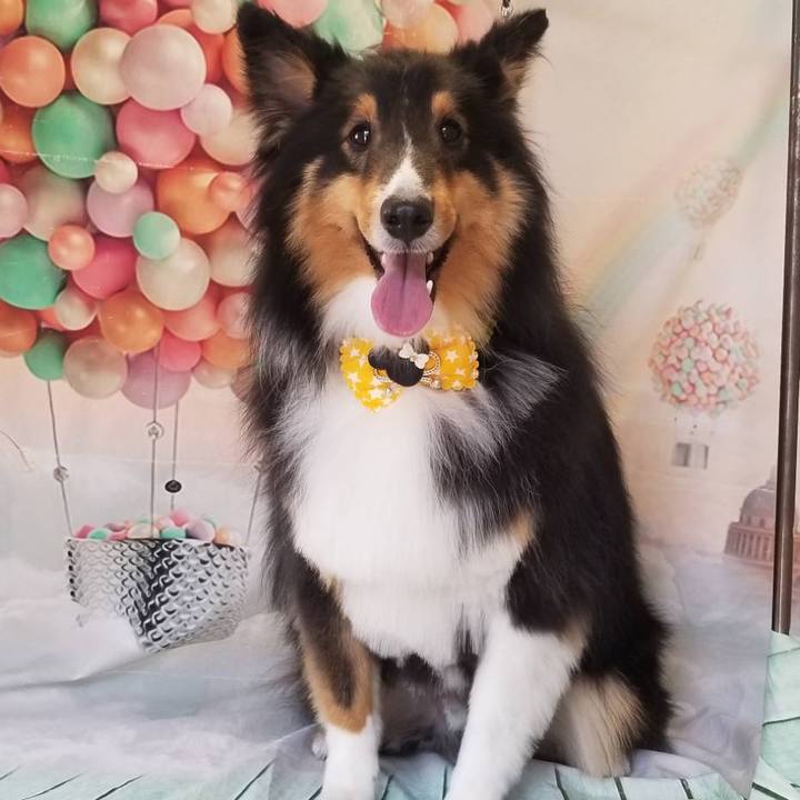 0c8894e6 a639 453e b19a f34f078b63eb 1557697448704