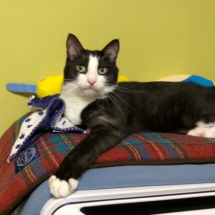 0c88aa21 3ad5 4642 9d04 f84cd02fc32c 1537616169073