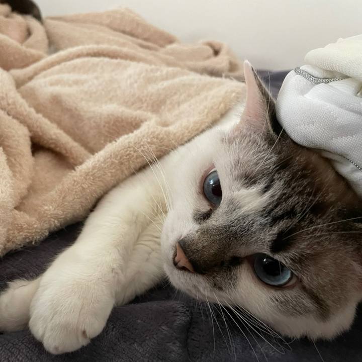 0c88be68 f388 49ca 9ee2 1533cf7e8772 1621651897046