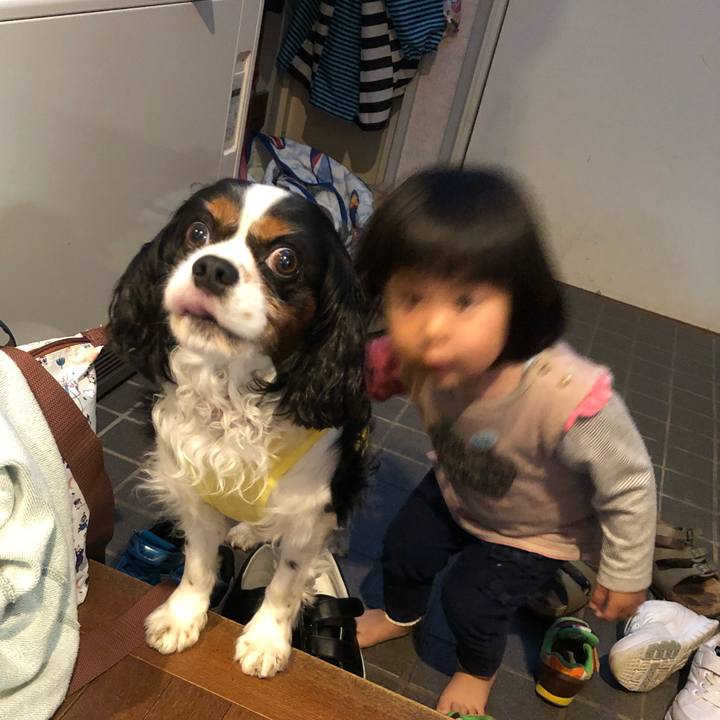 0c88c455 eeab 4857 be80 afce27b30810 1526877168502