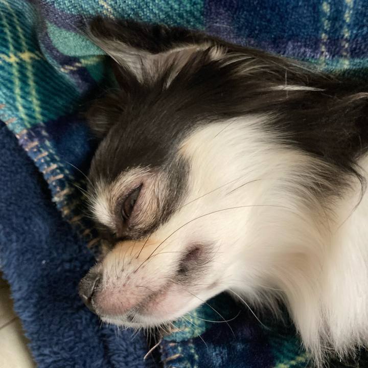 0c88e6d5 0392 4ae2 a312 45a0ff486aef 1641738393066