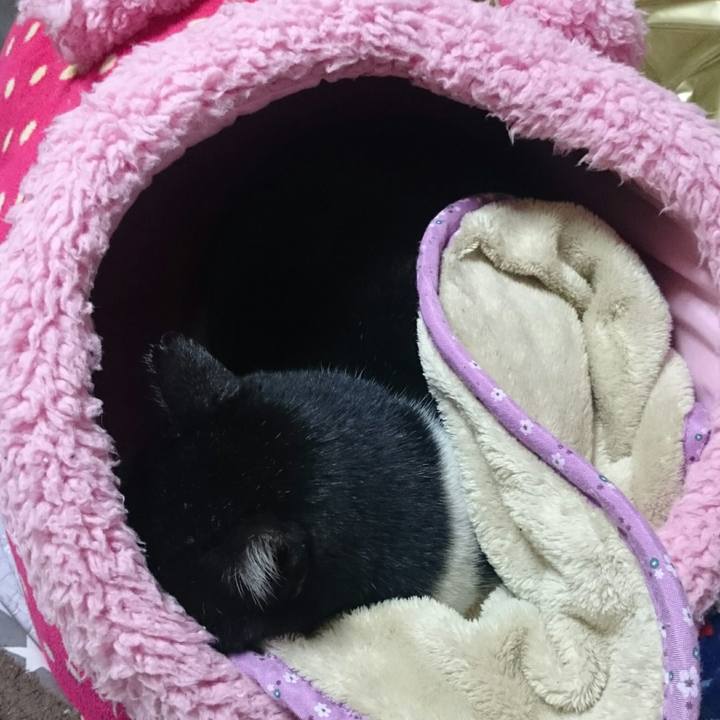 0c88eaa3 459a 4b7f b7e9 1f60d322c263 1511784297269