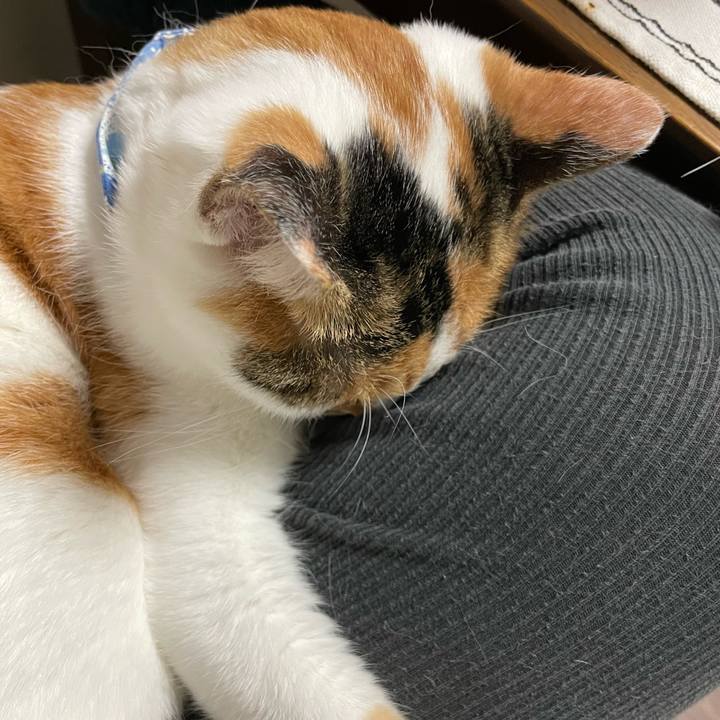 0c88ec8d 3c90 4000 8017 4d28d78e4b54 1697273333012