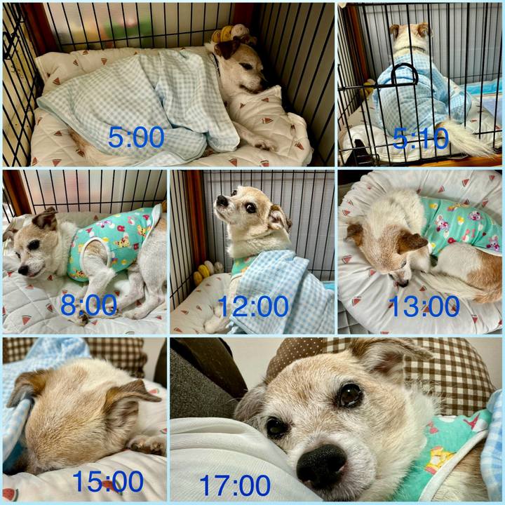 0c8926c3 1928 4612 b0e4 cd9853d80896 1725611213951