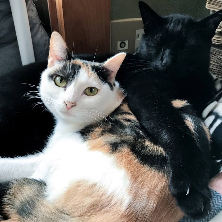 0c8948b2 012e 4525 86c7 e4a07b5dc6d3 1510536957099