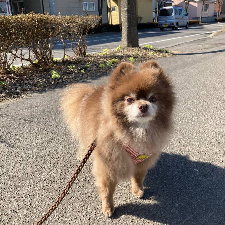 0c894ce5 5faf 499e 89e7 4fd013a32958 1649130790716