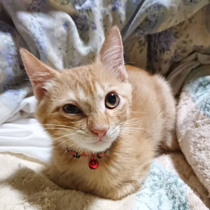 0c898155 0eb2 43bb 9353 3ba3684ee250 1631709371614