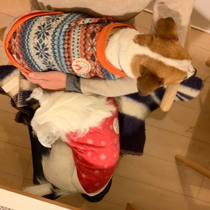 0c89a9f0 15c2 4c7e be70 5fdceb3ce467 1547031234399