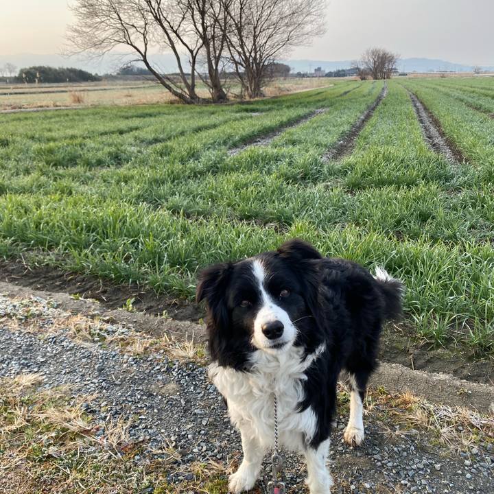 0c8a083e 2a4b 4d91 a3a6 ac1e9ce1224f 1646348854554