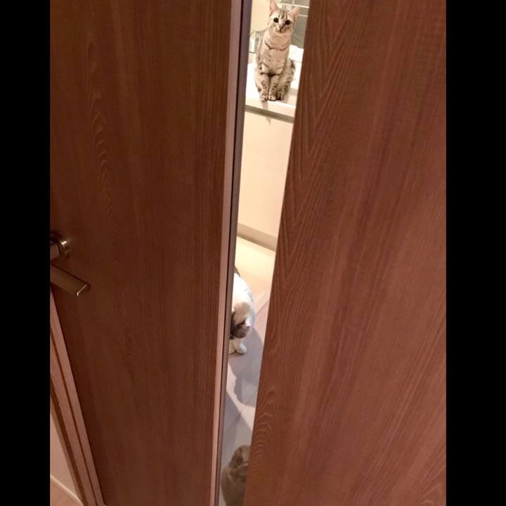 0c8a2311 7241 453e 9240 b29c9466f97f 1547196219339