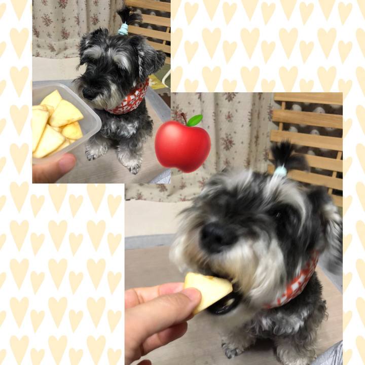 0c8a8d07 9e7f 4788 a27f 77413fddcf7f 1660052344914