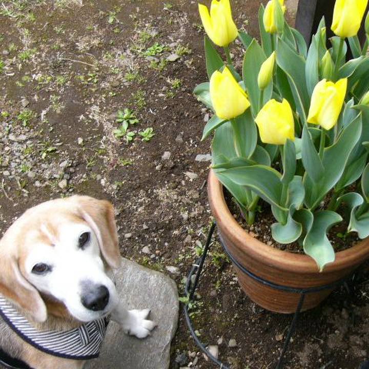 0c8a9d01 2714 45e0 9d46 ed830bdcc59d 1661990179081