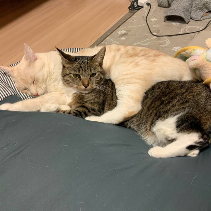 0c8aec0e 1e96 451e 9691 a849b2137b74 1672140739567