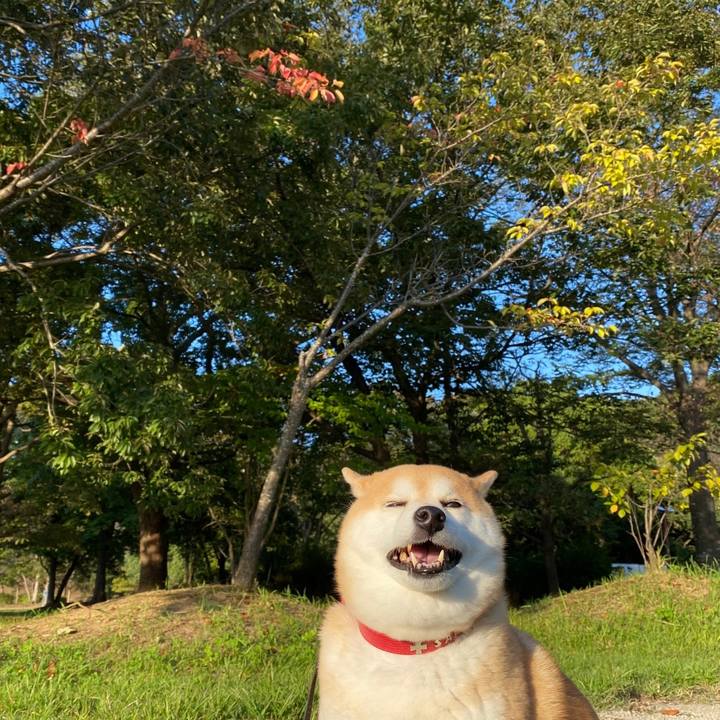 0c8b0557 591e 4bfe afdd 69ca09b61526 1632833888490