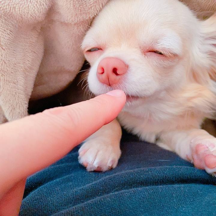 0c8b1f65 eb81 4000 9244 0ba28c21b879 1614132662373