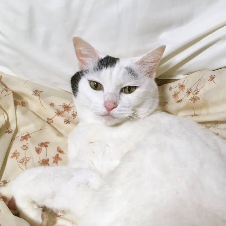 0c8b2896 a150 496e a588 a2695549e587 1570184863677