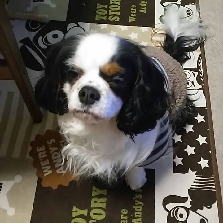 0c8b349c 03aa 4517 81f3 30811628c539 1520255790853