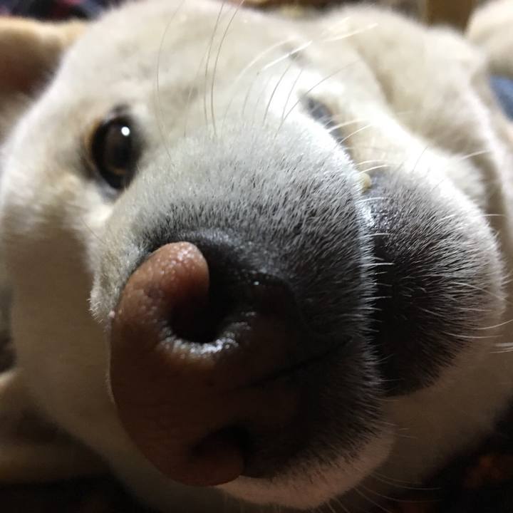 0c8b8576 773b 49f2 9173 e75fef0a02c0 1513432804220