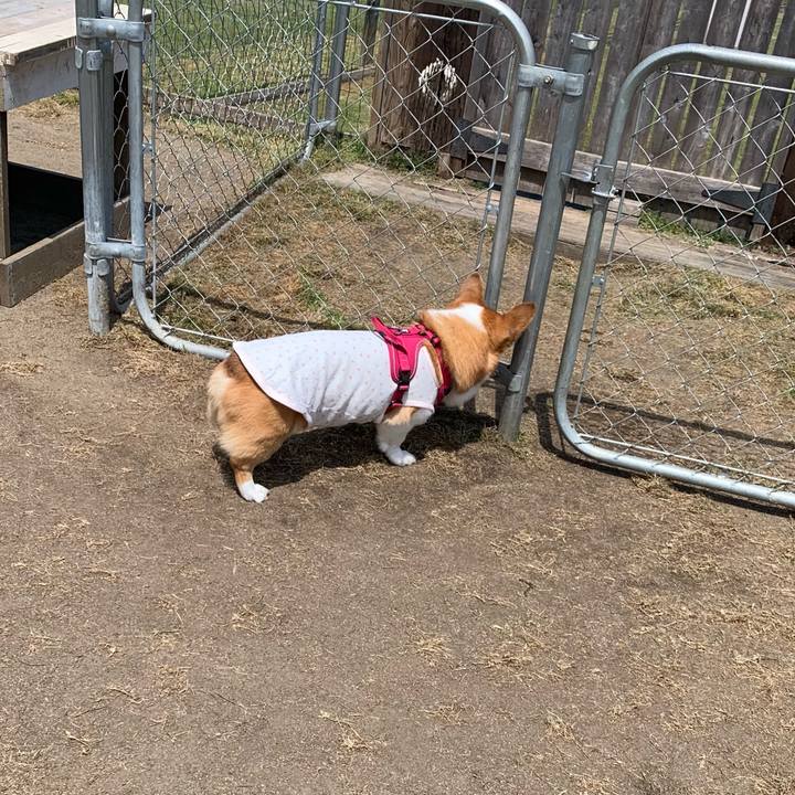 0c8b8fd9 7220 403f b639 5c6c3953e50e 1683880191594