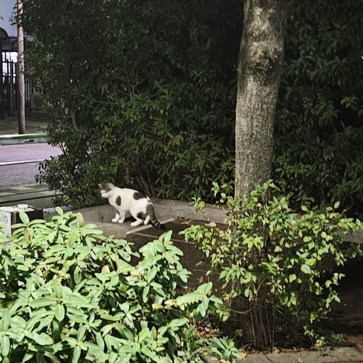 0c8b9322 2ec3 4dff be8b 150b2ca985c9 1730185636394