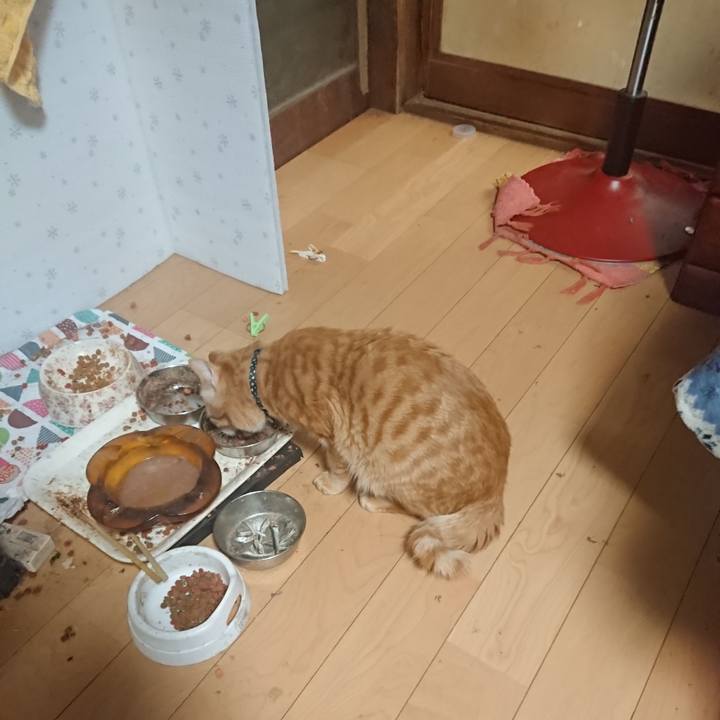 0c8b9f52 fd6d 4015 b1c6 9ab11f0ab85c 1645265730695