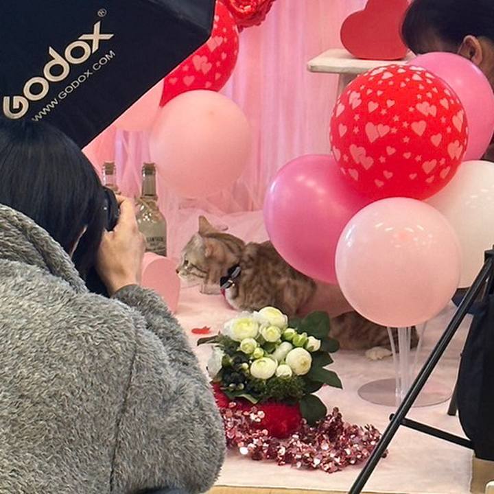 0c8bd9d9 d52f 4937 934c cc2bf8ae4871 1672188368464