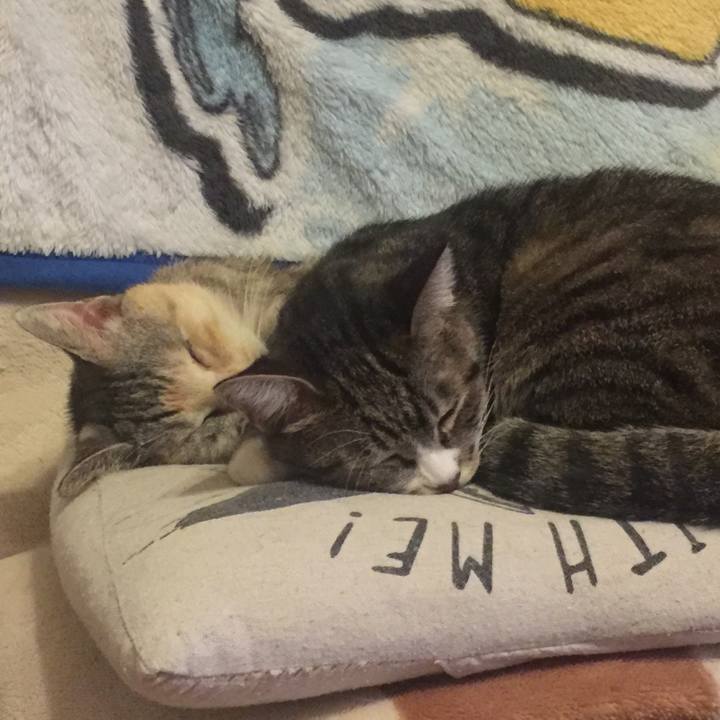 0c8c0332 5e3e 4540 adc6 a07ec6226dd2 1572351674879