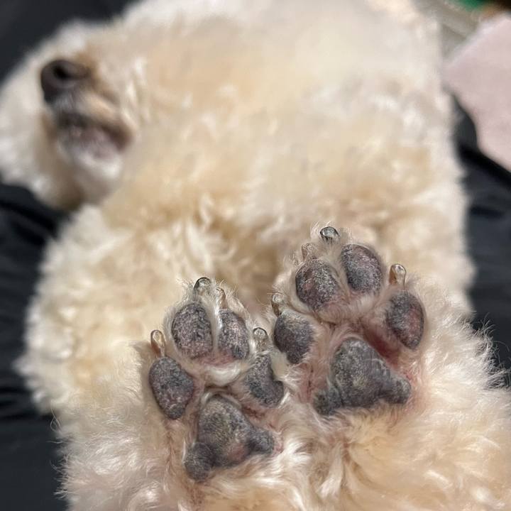 0c8c37f3 1493 4609 bf63 380be2e7f407 1773868684208